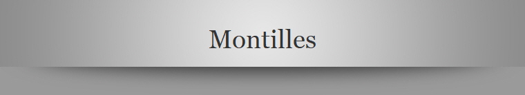 Montilles